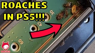 YOU WON'T BELIEVE HOW MANY ROACHES WERE IN THIS PS5!!!! | Cleaning & Repairing PS5 HDMI