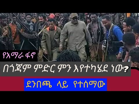 በጎጃም ምድር ያልተጠበቀ ተፈፀመ ደበጫ ምን ተሰማ