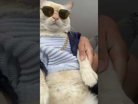 I Wasn T Ready For That