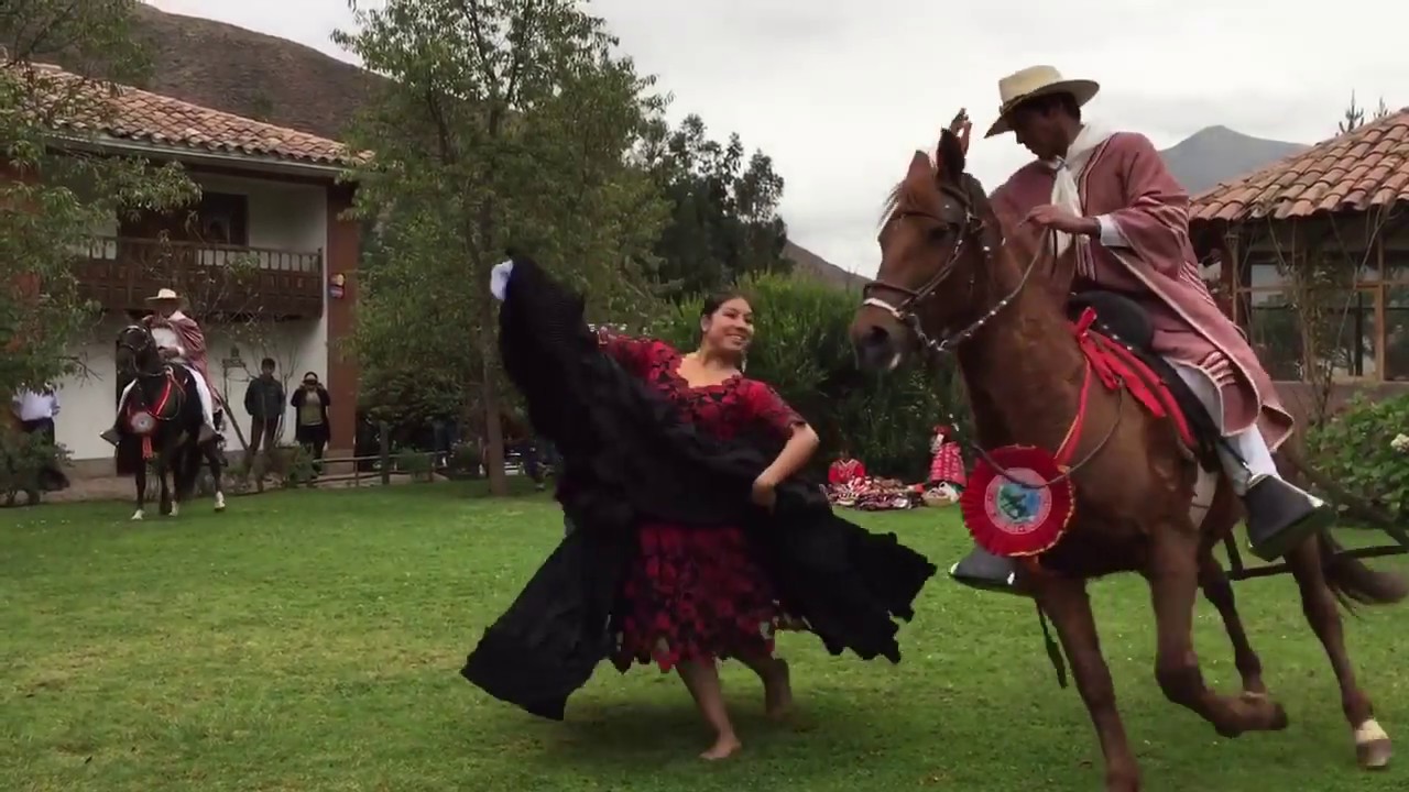Peruvian Paso Horse and Marinera Dance YouTube