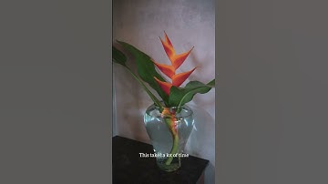 Creative Cloud for Artists: Vimal Chandran’s Workflow Secrets