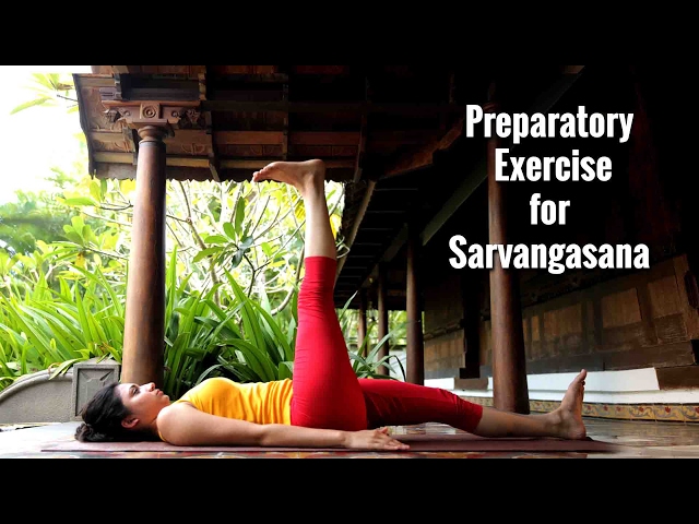 Eka Pada Koundinyasana I, setu Bandha Sarvangasana, bandha, Trikonasana,  pada, Sarvangasana, Muscular, Muscular system, Asana, Stretching | Anyrgb