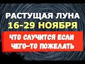 Растущая луна с 16 по 29 ноября. ЧТО СЛУЧИТСЯ, ЕСЛИ ЧЕГО-ТО ПОЖЕЛАТЬ