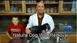 naturasil wart remover for dogs