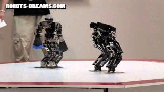 ROBO-ONE Humanoid Helper Robot: Lightweight Tournament