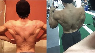 PENDLAY ROW VS BARBELL BENT ROW l @konversionfit