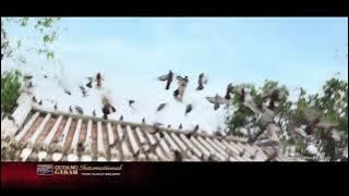 Gudang Garam International - Bangkok Battle Drift (30s Versi 3)