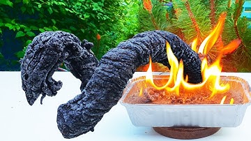 MAKING A BIG BLACK FIRE SNAKE | SCIENCE EXPERIMENT
