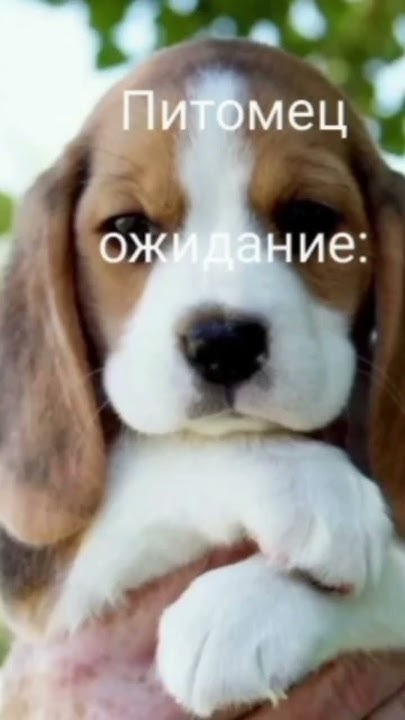 Ожидание & реальность. - YouTube