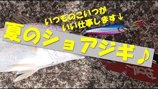 IMARI Lure fishing part71(伊万里ルアーフィッシング)...強風に負けてショアジギ('ω')