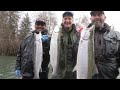 Queets River Winter Steelhead