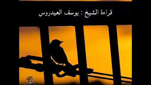 حالات واتس اب دينيه | مقاطع قصيره قرآن كريم ❤ أجمل تلاوه خاشعه الشيخ يوسف العيدروس