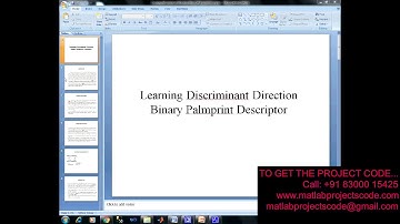 Learning Discriminant Direction Binary Palmprint Descriptor 2019-2020