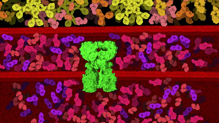 The Great Escape of Mycobacterium tuberculosis - NanoBiology Course 2021 - Monday Group