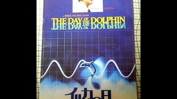 017《 イルカの日 》【映画パンフレット・フェスティバル】(festival)