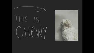 Media Project - ROUGH Draft