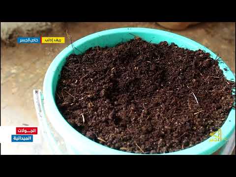 ريف إدلب بجهود بسيطة استخراج السماد العضوي من دودة الأرض