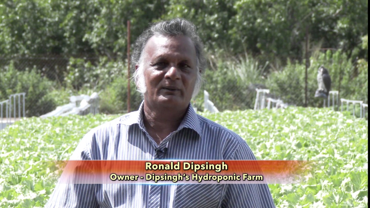 Farm Programme Feature - From Farm Worker to Farm Owner