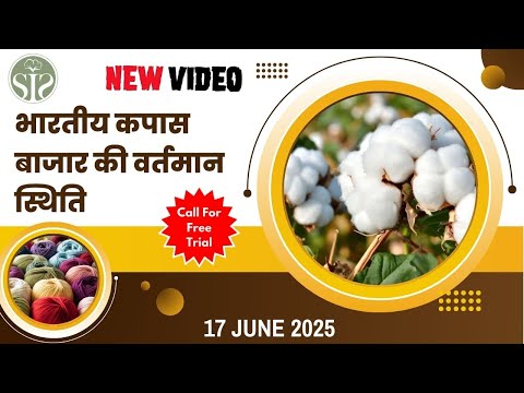 Aaj ka kapas ka bazar 🤔 || Cotton Market Price Today #youtube  #cotton