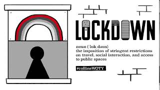 The Collins Word Of The Year 2020