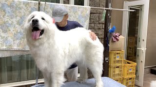 【ルンルンの裏庭】お父さんサロン　2020年8月の動画