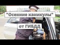 «Осенние каникулы» от ГИБДД стартовали в регионах