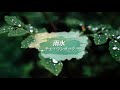[日本語字幕 / カナルビ] 채은옥 - 빗물 /チェ・ウンオック- 雨水 / 怪しい彼女OST原曲