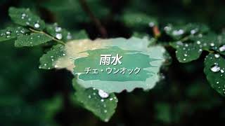 [日本語字幕 / カナルビ] 채은옥 - 빗물 /チェ・ウンオック- 雨水 / 怪しい彼女OST原曲