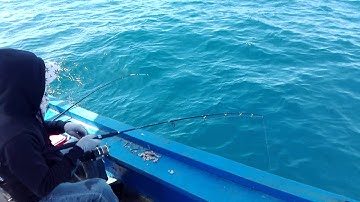 Câu cá đổng bùn Nha Trang