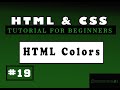 Html and css tutorials for beginners  19th html colors