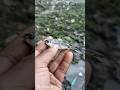 छोटी मछली की जिंदगी जो आपको सोचने पर मजबूर कर देगी The life of a small fish that will make you think