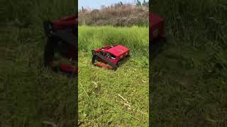 High-Efficiency Remote Controlled Slope Mower in Action