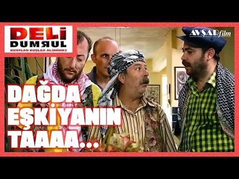 Dağda Eşkiyanın Taaa... Koyuyoruz / Deli Dumrul Kurtlar Kuşlar Aleminde