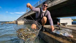 Urban Fishing and Crabbing for Survival... Out of Necessity