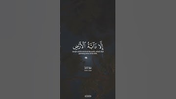 ذِكر الله دواء القلوب 🤍#اسلام_صبحي #قرآن #قران_كريم #سورة_يس#islam_sobhi #islamic #quran #explore