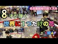 【世界に1つだけの花/SMAP ピアノ】8才が耳コピを頼りに弾いてみた!in名古屋駅地下街エスカ ストリートピアノ