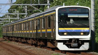 JR209系C610編成 1362M 普通 千葉行き JR総武本線 都賀～東千葉 区間