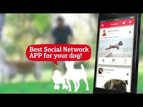 Dogalize: the First Ever Veterinary Telemedicine and Social Network App