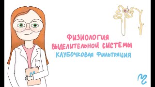 Клубочковая фильтрация