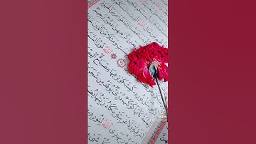 قران كريم حالات واتس اب بدون حقوق