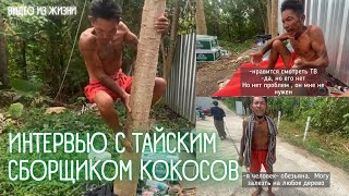 Как живет тайский сборщик кокосов. Видео из путешествий. Тайланд 2022