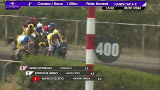 Vidéo de la course PMU PRIX AYUDANTE