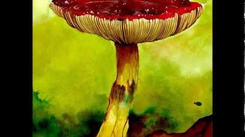 Jak Tripper - Duck Soup (with Boxguts)