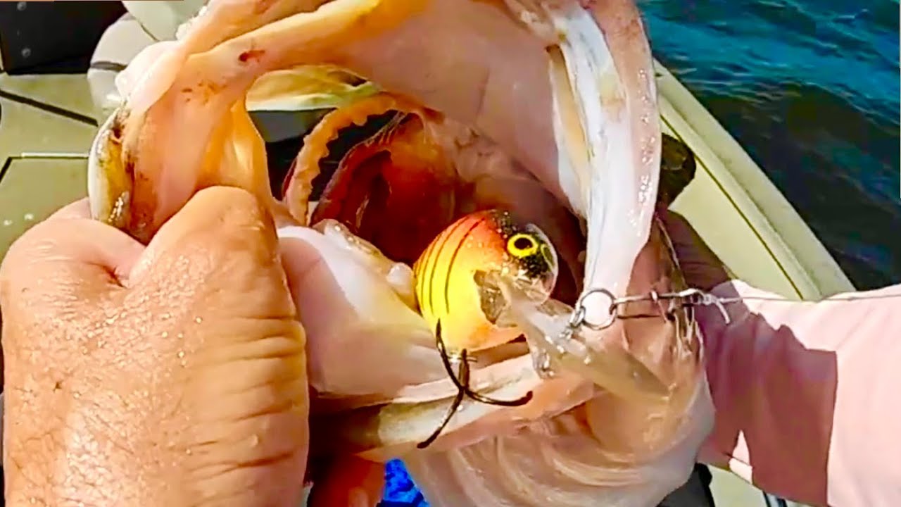 Big Bass Highlights from this Season