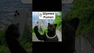 НОВИЯ ХИТ ШУМЕНСКА ПАНТЕРА#shortsvideos