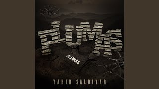 Plumas