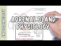 Endocrinology - Adrenal Gland Hormones