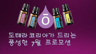 풍성한 도테라 코리아의  7월 프로모션