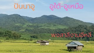 Laos :ธรรมชาติแสนงามจากอูใต้ไปอูเหนือ แขวงพงสาลี