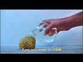 What happens when you pour water on a Rock